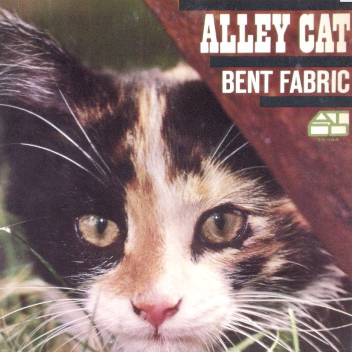 Alley-cat